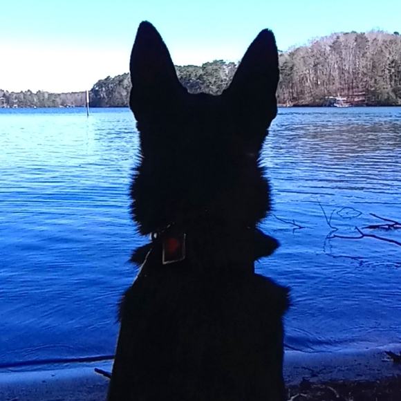 Meet your Posher, Monica - Picture 1 of 2